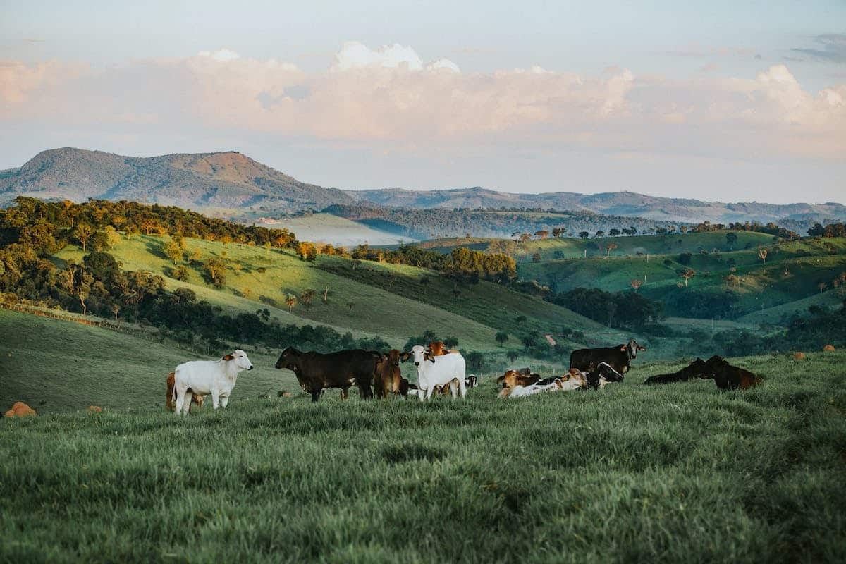 agriculture durable