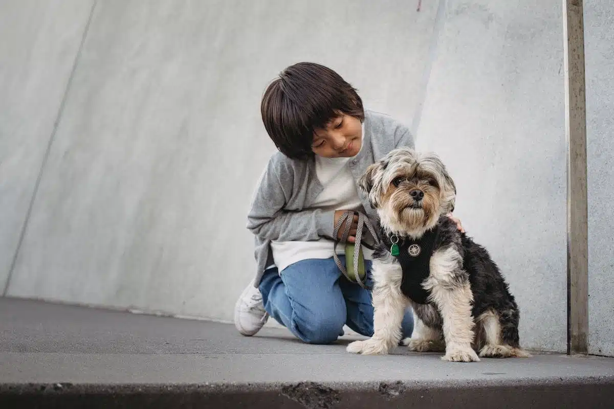 enfant chien