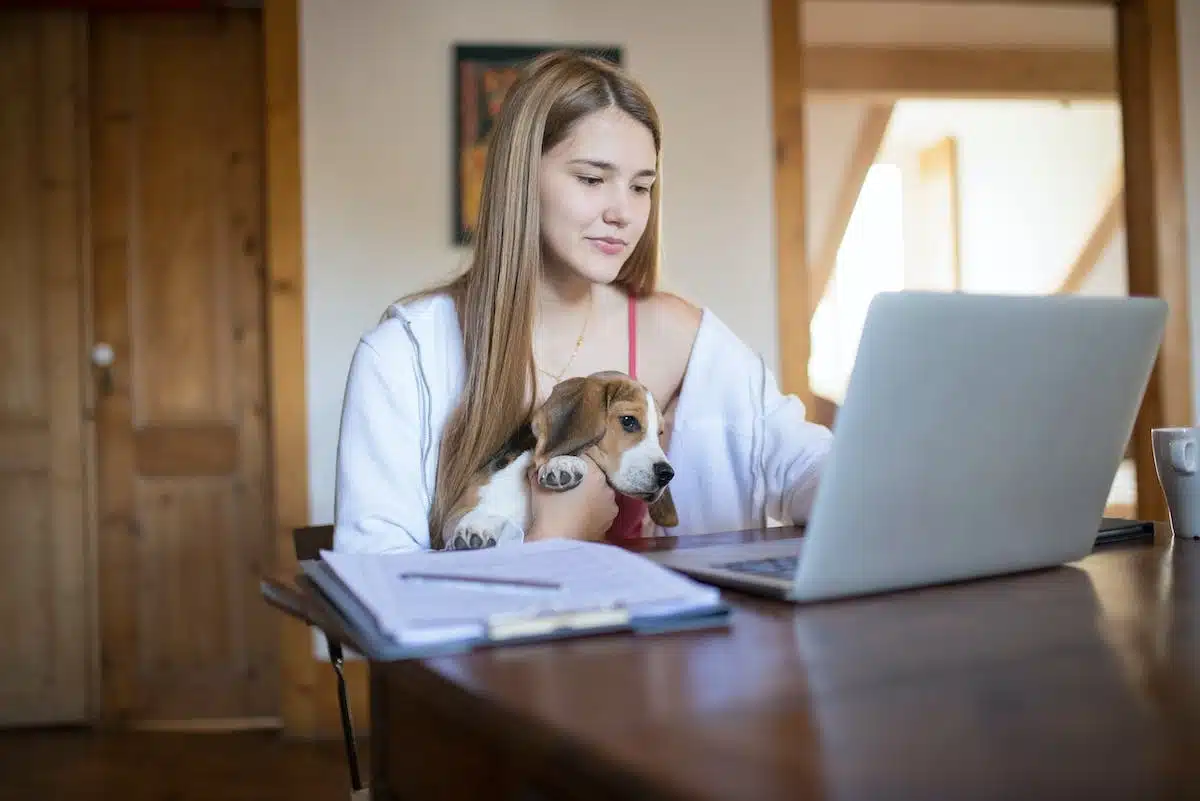 chien travail