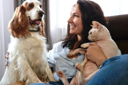 Assurance animaux : quelles options sont vraiment indispensables ?