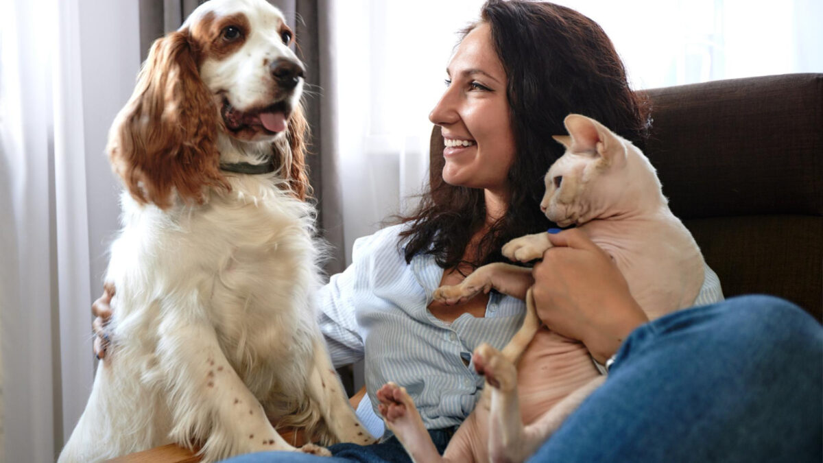 Assurance animaux : quelles options sont vraiment indispensables ?