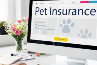 Assurance santé animale : pourquoi si peu de Français font le pas ?