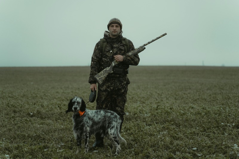 chien de chasse sur terrain