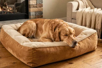 Grand chien golden retriever allongé dans un lit XXL moelleux près d'une cheminée en hiver